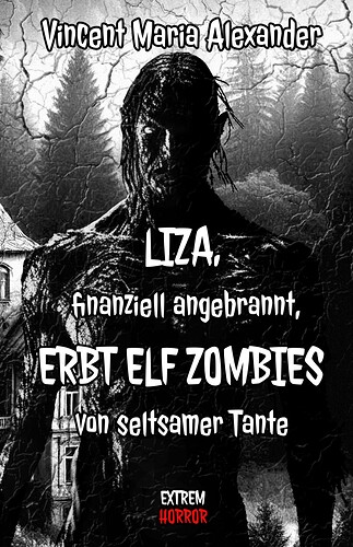 Vincent Maria Alexander EBook Liza