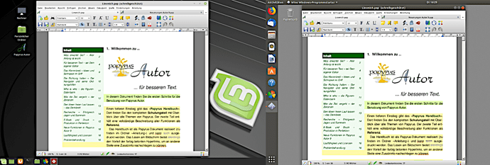 Papyrus unter Linux Mint 19.png