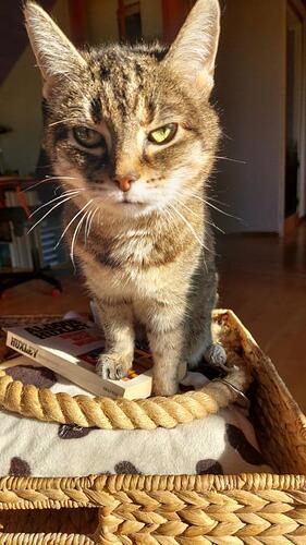 Frieda liest Brave New World