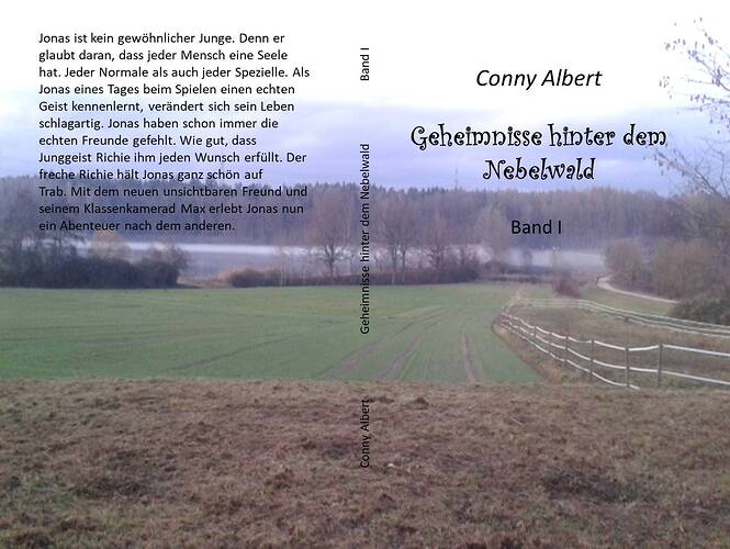 Cover-Beispiel_Geheimnisse hinter dem Nebelwald