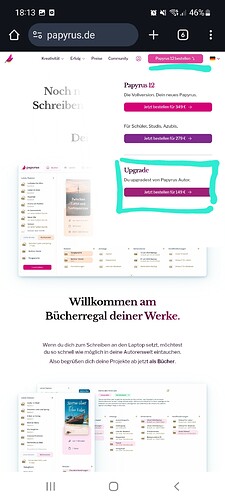 Screenshot_20250713-181325_Chrome