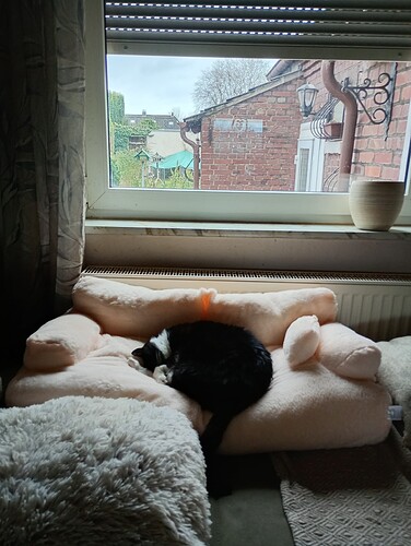 IMG_20241206_105215982_HDR