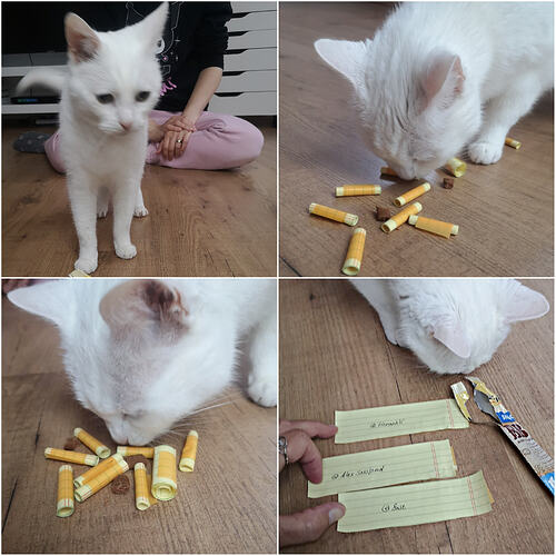 collage Ziehung