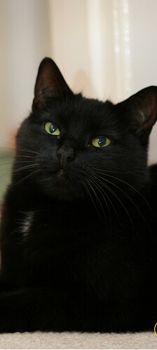 Screenshot_20251216_221134_Gallery