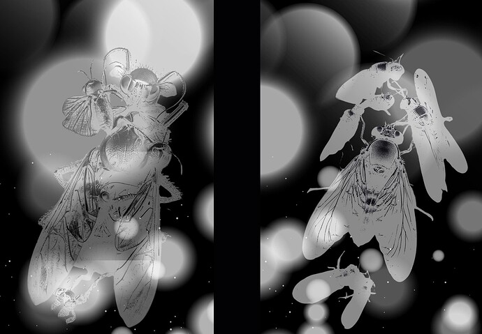 Kein Titel (9 x 6 Zoll) (337.75 x 234.95 mm) (78)