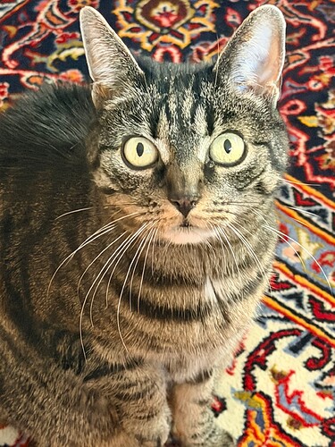 Knöthi aka Krümelchen