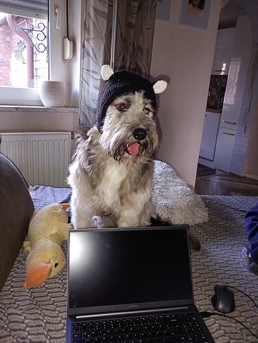 IMG_20251122_150929187_MFNR