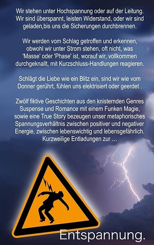 Klappentext zu Kurzschlüsse