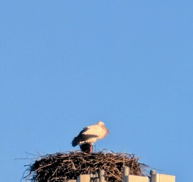 90c669f5-aeb0-4779-9447-86ca7ca464df~1