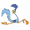 roadrunner_klein