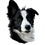 Amirapewpew