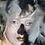 Susanne2