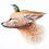Tatsunokokati