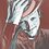 Vaufanin